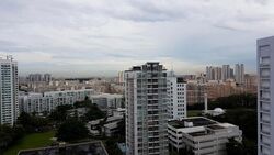 Balestier Road (D12), Apartment #438058501